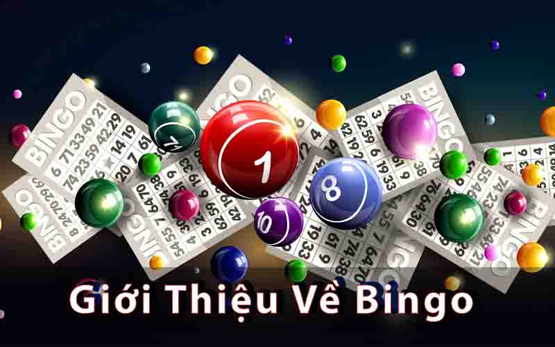 Giới Thiệu Về Bingo